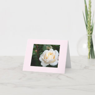 Carte pour notes blanc Rose Pearl