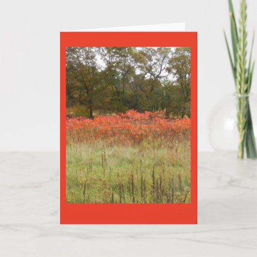 Carte pour notes blanc Sumac d'automne (Devant)