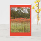 Carte pour notes blanc Sumac d'automne (Fleur jaune)