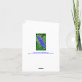 CARTE POUR NOTES BLEU BRILLANT DE DELPHINIUM (Dos)