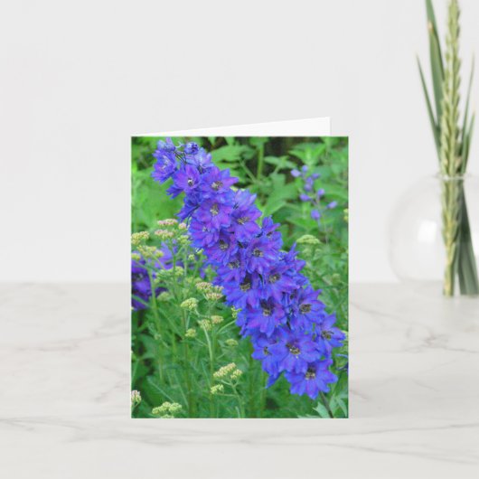 CARTE POUR NOTES BLEU BRILLANT DE DELPHINIUM (Devant)