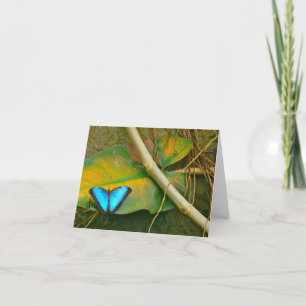 CARTE POUR NOTES BLEU DE PAPILLON DE MORPHO