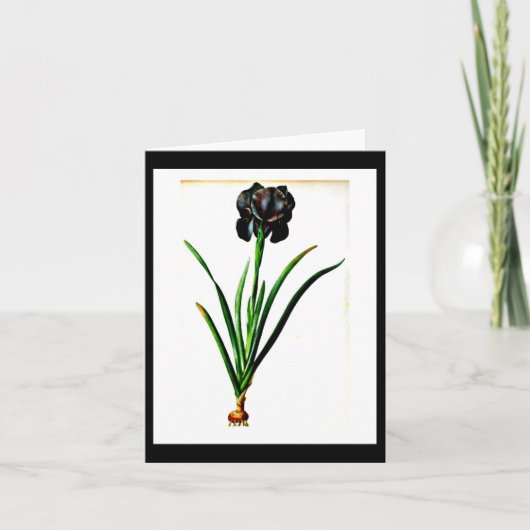 Carte pour notes-Botanicals-Pierre Joseph Redoute (Devant)