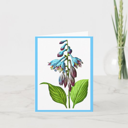 Carte pour notes-Botanicals-Pierre Joseph Redoute (Devant)