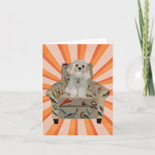 CARTE POUR NOTES CAVIPOODLE STRIPES