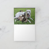 CARTE POUR NOTES-C'EST AMUSANT DE SOUHAITER QUE VO (Intérieur)