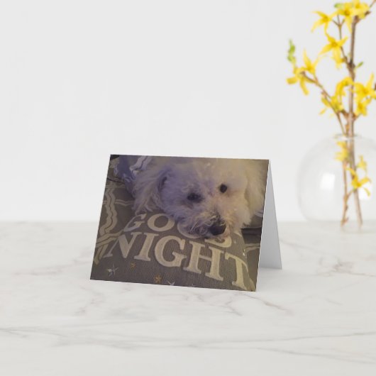 carte pour notes "Chien fatigué" (Fleur jaune)