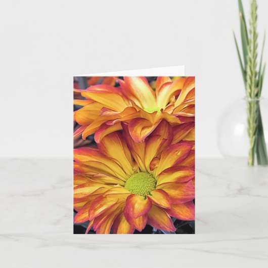 Carte pour notes - Chrysanthèmes (Devant)