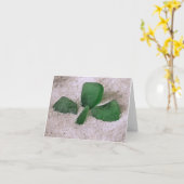 Carte pour notes - Clover en verre de mer (Fleur jaune)