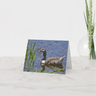 Carte pour notes coloré de canard