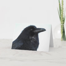 Carte pour notes corbeau