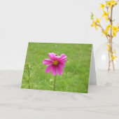 Carte pour notes Cosmos (Fleur jaune)