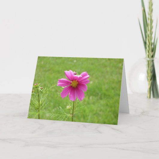Carte pour notes Cosmos (Devant)