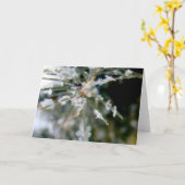 CARTE POUR NOTES, cristaux de glace sur les (Fleur jaune)