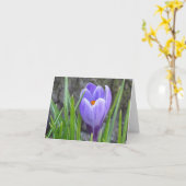 Carte pour notes - Crocus (Fleur jaune)