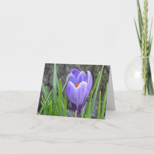 Carte pour notes - Crocus (Devant)