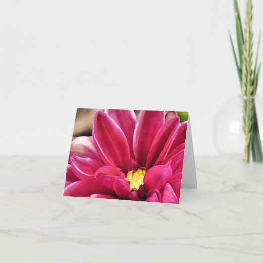 Carte pour notes - Dahlia closeup (Devant)