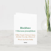 Carte pour notes de Blackhaw (Dos)