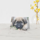Carte pour notes de blanc de chiot de Leonberger (Fleur jaune)