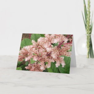 Carte pour notes de blanc de fleur de Rogersia