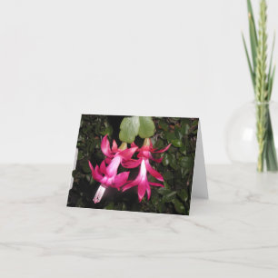 Carte pour notes de cactus de Noël
