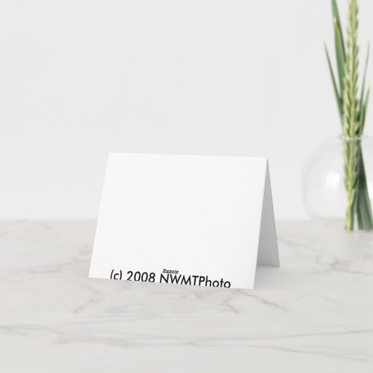 Carte pour notes de cactus de Noël (Dos)