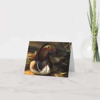 Carte pour notes de canard