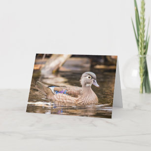 Carte pour notes de canard à bois féminin