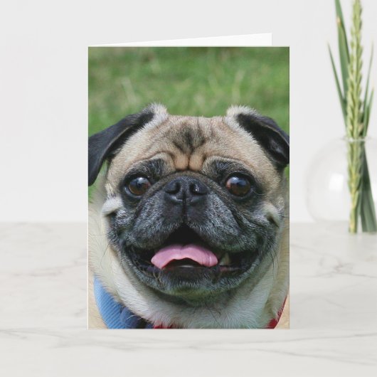 Carte pour notes de Carlin Dog (Devant)