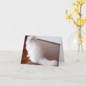 Carte pour notes de chat perse blanc (Fleur jaune)