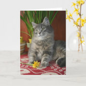 Carte pour notes de chat tigré et de jonquilles (Fleur jaune)