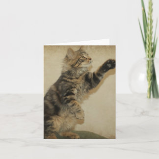 Carte pour notes de chaton de tigre - jouant