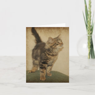 carte pour notes de chaton d'iger