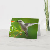 Carte pour notes de colibri (Devant)
