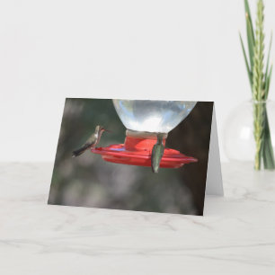 Carte pour notes de colibri