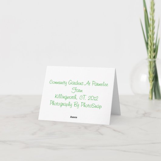 Carte pour notes de concombre (Dos)