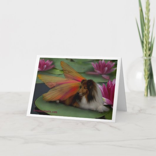 Carte pour notes de fée de Sheltie (Devant)