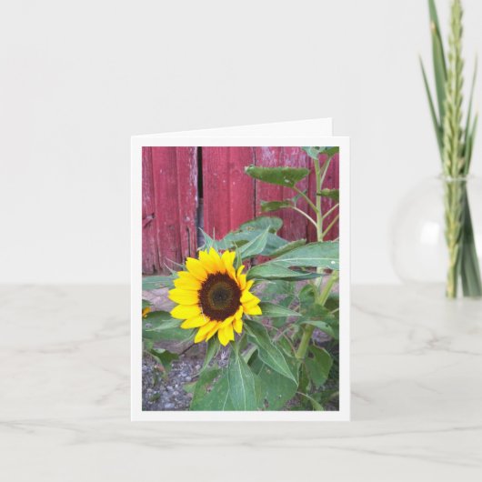 Carte pour notes de ferme de tournesol (Devant)