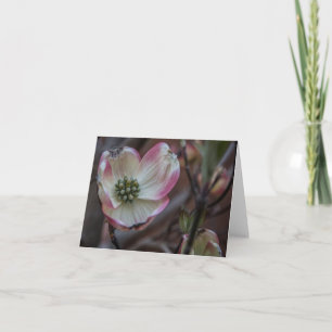 Carte pour notes de fleur de cornouiller