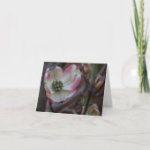 Carte pour notes de fleur de cornouiller (Devant)