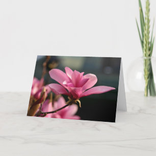 Carte pour notes de fleur de magnolia