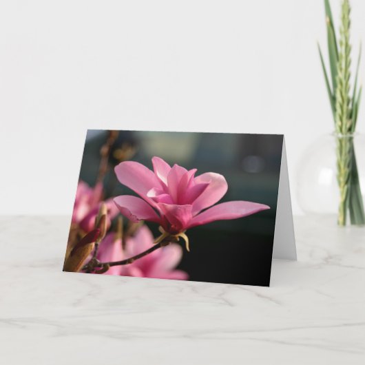 Carte pour notes de fleur de magnolia (Devant)