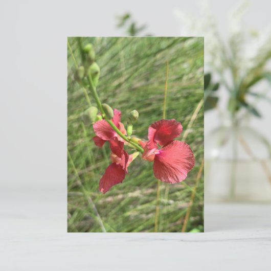 Carte pour notes de fleurs (Debout devant)