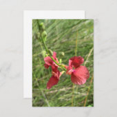 Carte pour notes de fleurs (Devant / Derrière)