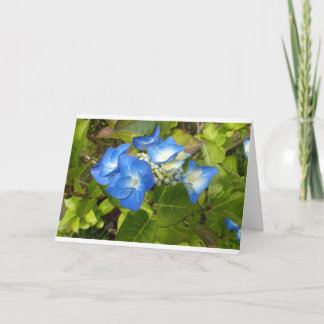 Carte pour notes de fleurs bleues