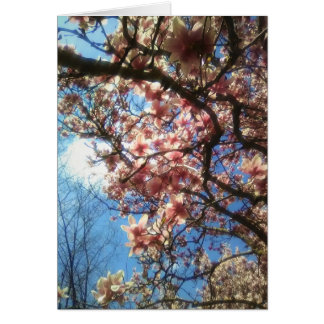 Carte pour notes de fleurs printanières