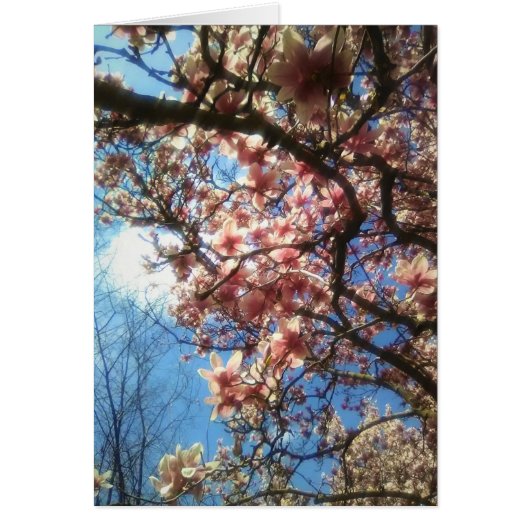 Carte pour notes de fleurs printanières (Devant)