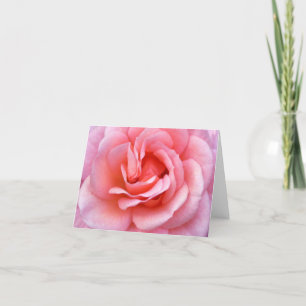 Carte pour notes de floraison de rose de rose