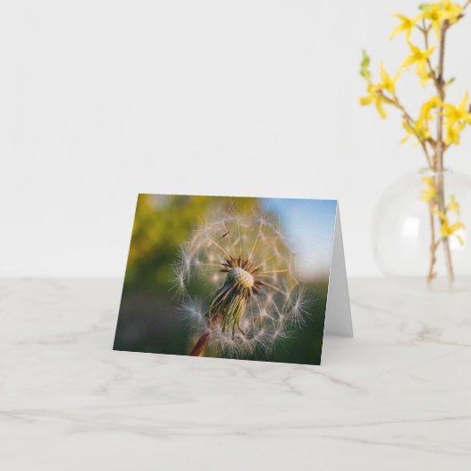 Carte pour notes de Fluffball de pissenlit (Fleur jaune)