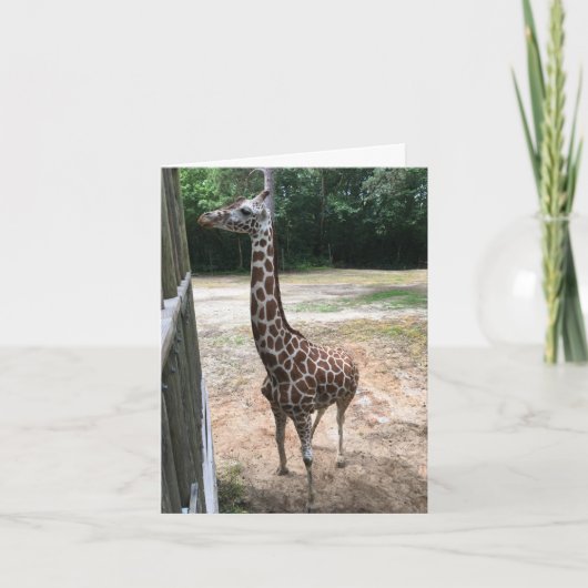 carte pour notes de girafe (quoi de neuf ?) (Devant)